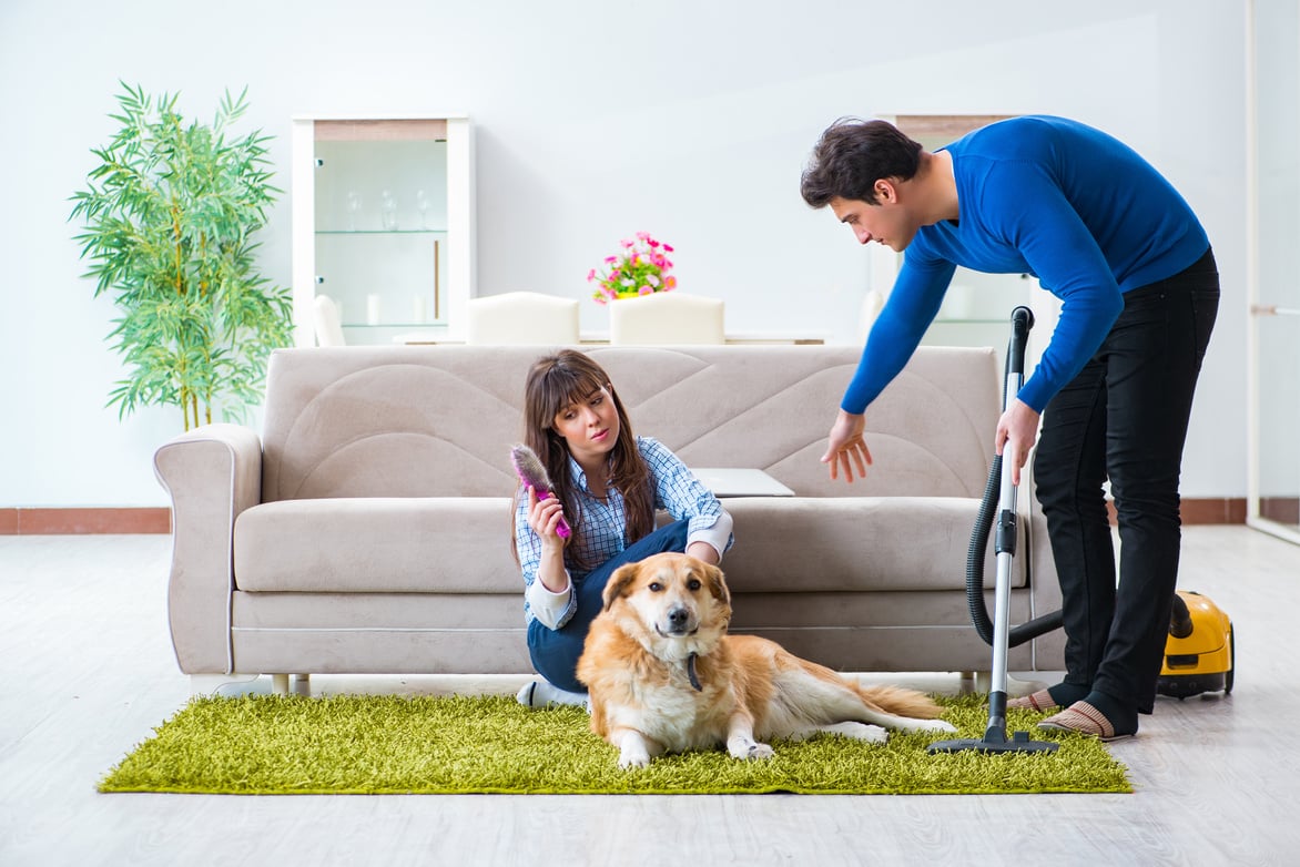 Husband Cleaning House from Dog Fur